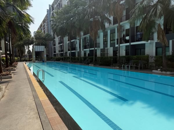 pool of iCondo Sukhumvit 105