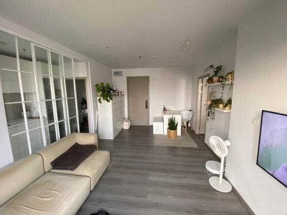 living room and room interior of The Politan Aqua