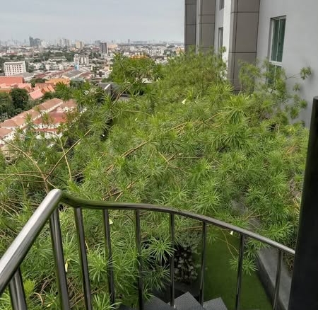 A Space ME Sukhumvit 77
