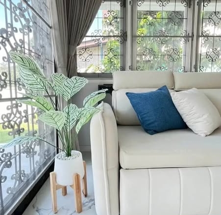living room of บ้านแสนสิริ พัฒนาการ : Baan Sansiri Pattanakarn