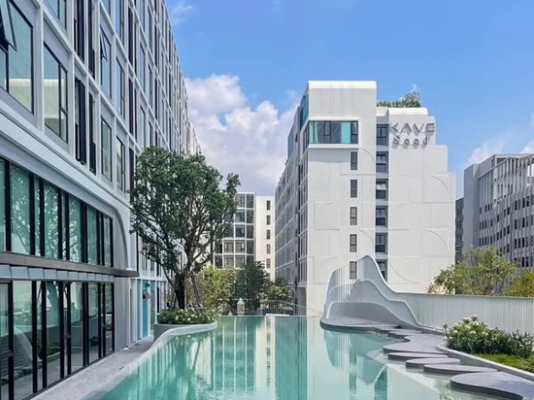 pool of KAVE Seed Kaset | เคฟ ซี้ด เกษตร